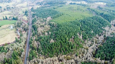 0 Allman Rd, Winlock, WA 98596 photo 8