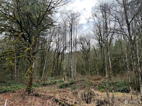 0 Allman Rd, Winlock, WA 98596 photo 24