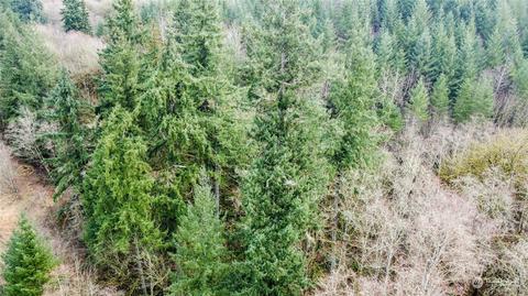 0 Allman Rd, Winlock, WA 98596 photo 18