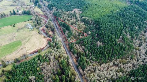 0 Allman Rd, Winlock, WA 98596 photo 17