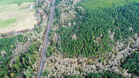 0 Allman Rd, Winlock, WA 98596 photo 12