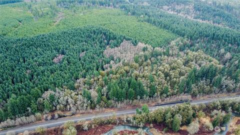 0 Allman Rd, Winlock, WA 98596 photo 3