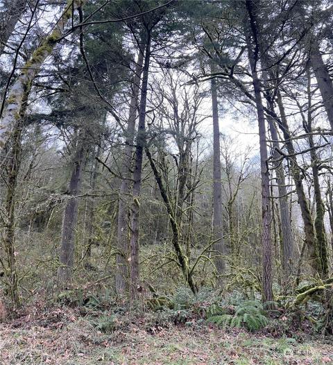 0 Allman Rd, Winlock, WA 98596 photo 23