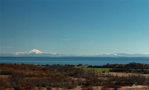 761 Brigadoon Blvd, Sequim, WA 98382 photo 33