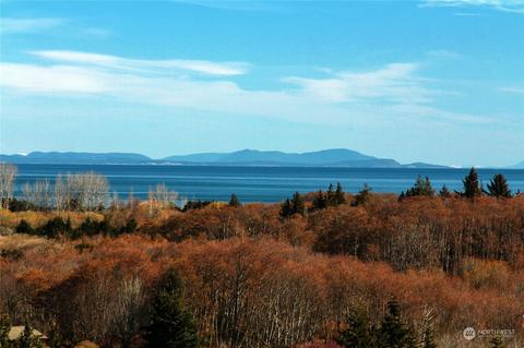 761 Brigadoon Blvd, Sequim, WA 98382 photo 34