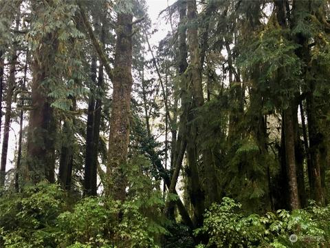 0 N Shore Rd, Quinault, WA 98526