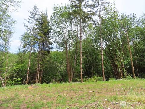 228 Echo Ln, Longview, WA 98632 photo 11