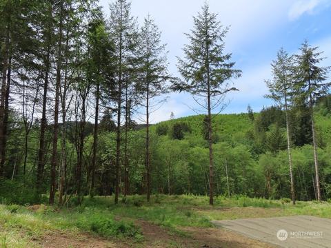 228 Echo Ln, Longview, WA 98632 photo 7