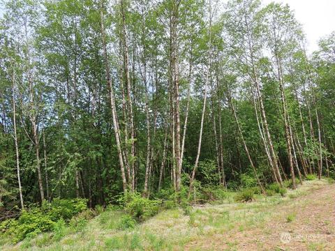 228 Echo Ln, Longview, WA 98632 photo 9