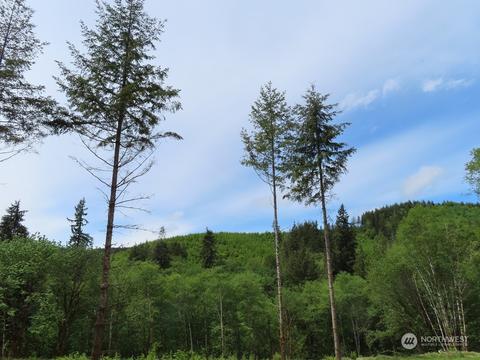 228 Echo Ln, Longview, WA 98632 photo 5