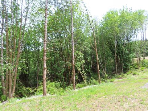 228 Echo Ln, Longview, WA 98632 photo 12