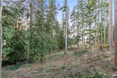 311 80th Pl SW, Everett, WA 98203 photo 39