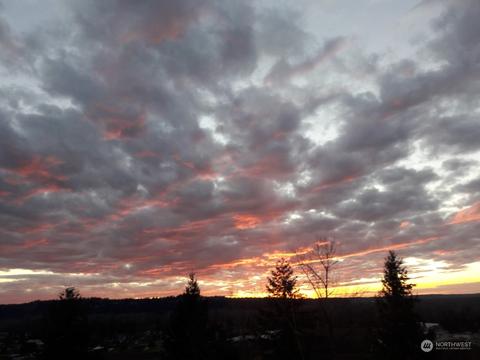 8102 172nd Ave E, Sumner, WA 98390 photo 39