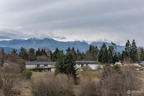 400 Ridge View Dr, Sequim, WA 98382 photo 36