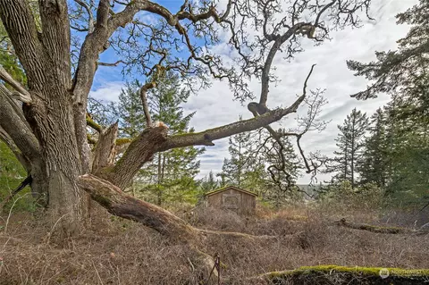 268 Skottowe Ln, Friday Harbor, WA 98250
