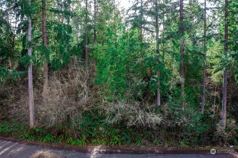 19620 199th St E, Orting, WA 98360 photo 3