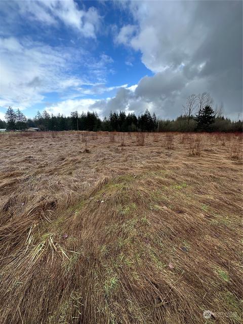 448 Meier Rd, Winlock, WA 98596 photo 1