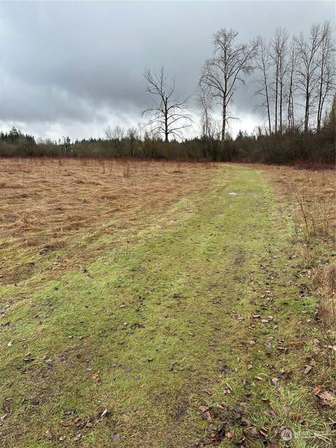 448 Meier Rd, Winlock, WA 98596 photo 3