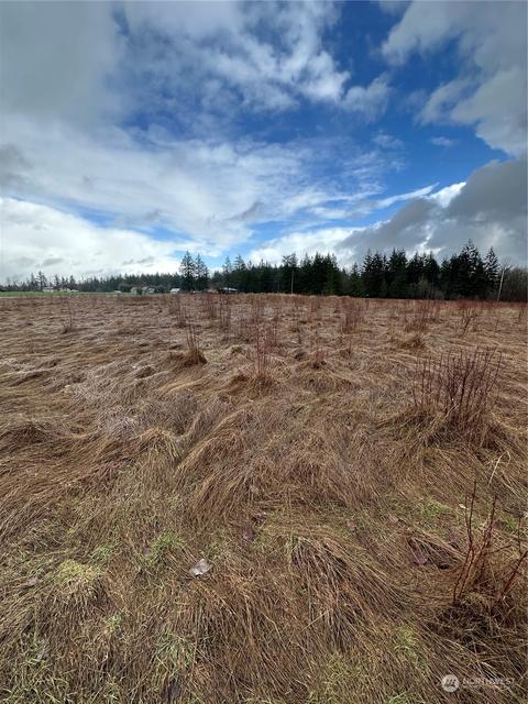 448 Meier Rd, Winlock, WA 98596 photo 4