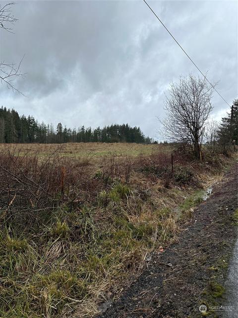 448 Meier Rd, Winlock, WA 98596 photo 6