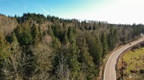 34987 Thomas Rd E, Eatonville, WA 98328