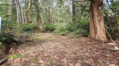 343 E Pointes Dr E, Shelton, WA 98584