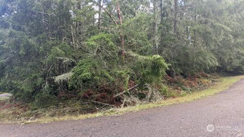 8816 130th Avenue Ct, Anderson Island, WA 98303