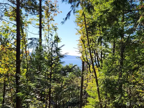 111 Yashi Rd, Brinnon, WA 98320