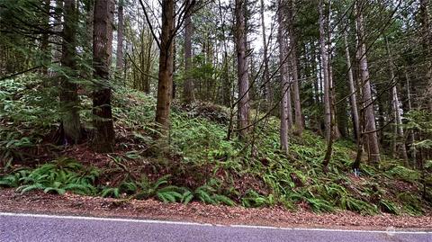 22 Hillside Pl, Bellingham, WA 98229