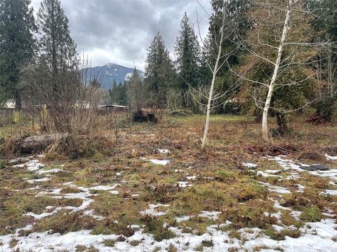 41820 Mountain View Ln, Concrete, WA 98237