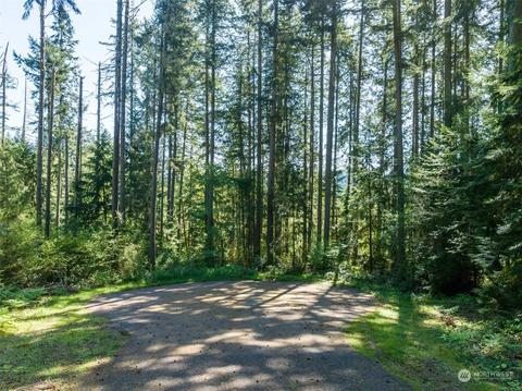 12716 99th Street Ct, Anderson Island, WA 98303