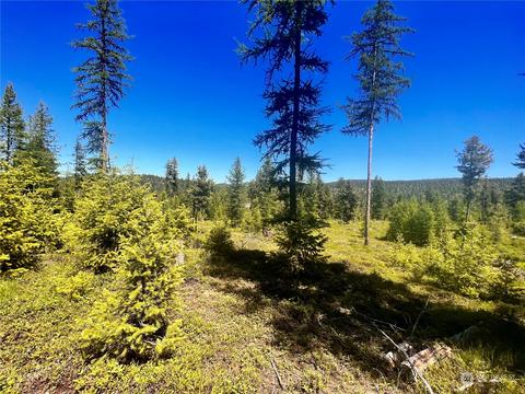101 Grafton Rd, Wauconda, WA 98859