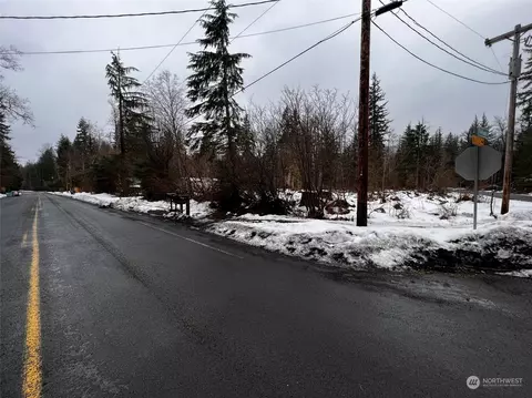0 Skate Creek Rd, Ashford, WA 98304