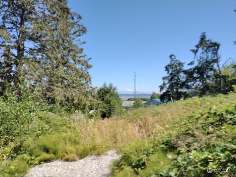 156 E Frostad Rd, Oak Harbor, WA 98277