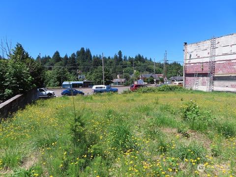113 SE 1st St, Winlock, WA 98596 photo 3