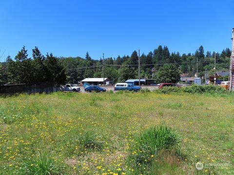 113 SE 1st St, Winlock, WA 98596 photo 4