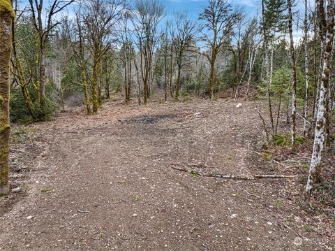 160 E Cascara Cove Ln, Shelton, WA 98584