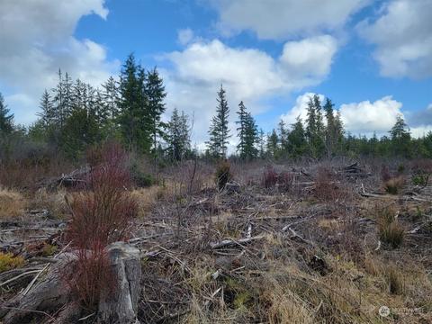 0 Nnn Ocean Beach Rd, Copalis Crossing, WA 98550