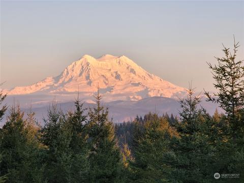 1402 Kinsman Ct E, Roy, WA 98580 photo 38