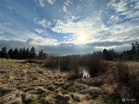 83 Jonrey Ln, Sequim, WA 98382 photo 19