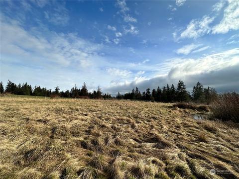 83 Jonrey Ln, Sequim, WA 98382 photo 20