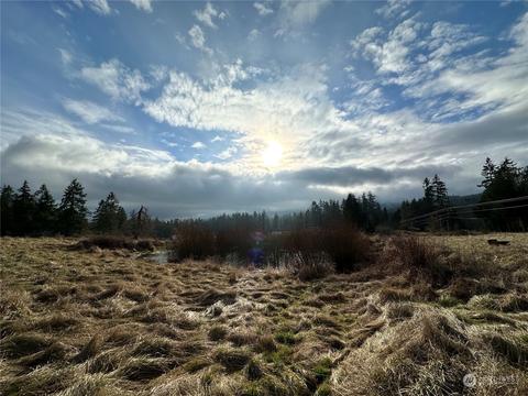 83 Jonrey Ln, Sequim, WA 98382 photo 22