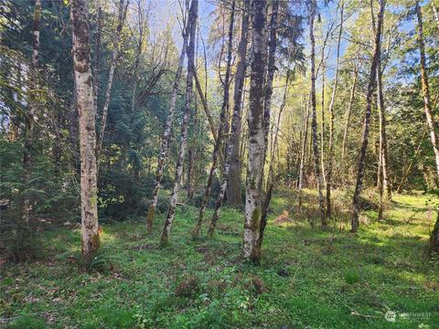 7 E Fox Ln, Shelton, WA 98584