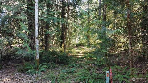 9 E Fox Ln, Shelton, WA 98584