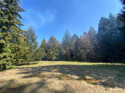 651 Senz Rd, Sequim, WA 98382 photo 38