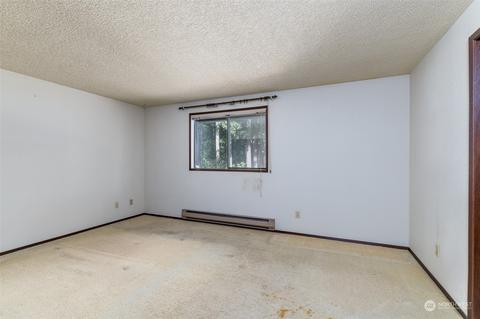 7340 Everson Goshen Rd, Everson, WA 98247 photo 7