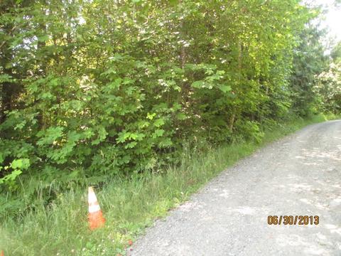 0 Kelly Ln, Randle, WA 98377