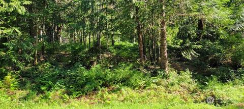 140 E Forest Dr, Belfair, WA 98528