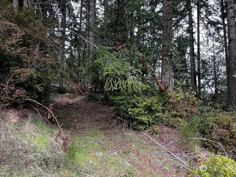 19421 24th St SW, Lakebay, WA 98349