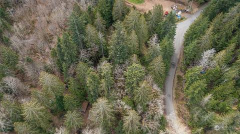 0 Boulder Dr, Brinnon, WA 98320 photo 8